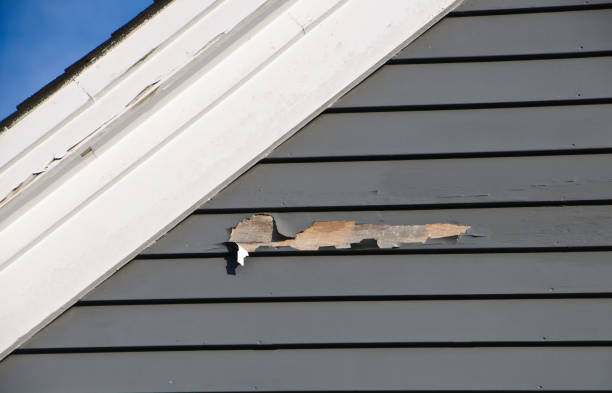 How To Choose The Right Materials for Your Siding Installation in 'Clarksville, VA